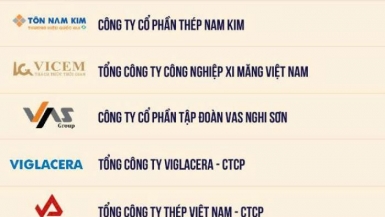 Hòa Phát là doanh nghiệp thép nộp ngân sách lớn nhất Việt Nam