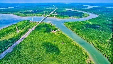 Tựa rừng, hướng biển, kết nối bằng tàu cao tốc: Công thức vàng cho đô thị đáng sống nhất Việt Nam 