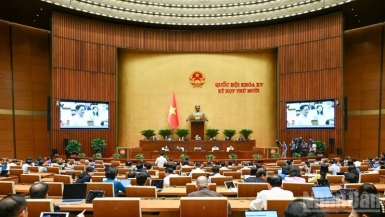 Bảo đảm hiệu quả vận hành mô hình chính quyền địa phương 2 cấp