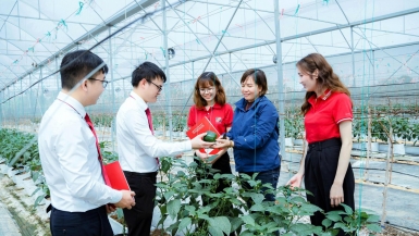 Agribank với trách nhiệm ESG toàn diện, từ “vốn xanh” đến an sinh cộng đồng