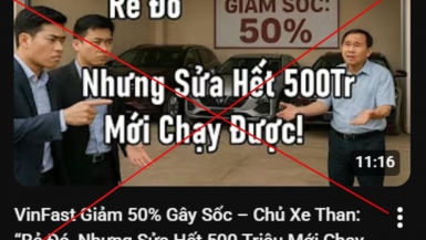 Phó Chủ tịch kiêm TGĐ Vingroup: 'Đấu tranh tới cùng với tin giả vì trách nhiệm xã hội'