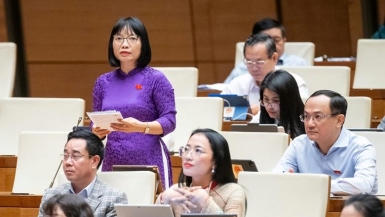 ĐBQH: 'Thanh tra nhà ở xã hội, chắc chắn có người không đúng đối tượng ưu đãi'