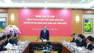 Kết luận của Tổng Bí thư Tô Lâm tại buổi làm việc với Ban Chính sách, chiến lược Trung ương