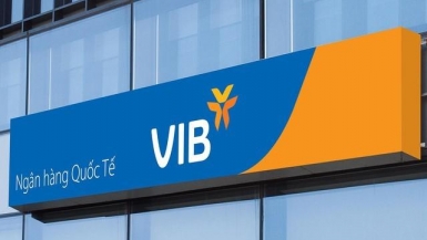 VIB: Lợi nhuận đạt 4.600 tỷ, tín dụng và huy động vốn tăng trưởng 5% trong 6 tháng đầu năm 2024