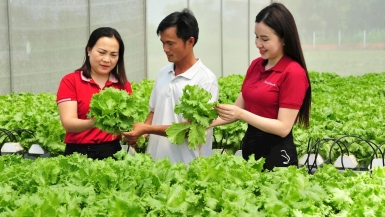 Nguồn vốn Agribank thúc đẩy kinh tế tư nhân  phát huy vai trò trụ cột quan trọng của nền kinh tế