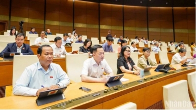 Quốc hội thảo luận các cơ chế, chính sách phát triển kinh tế tư nhân