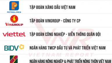 Hòa Phát là doanh nghiệp sản xuất duy nhất lọt TOP 10 Doanh nghiệp lớn nhất Việt Nam
