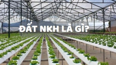 Đất NKH là gì? Đất NKH có lên thổ cư được không?