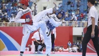 Sắp diễn ra Giải vô địch Taekwondo các lứa tuổi quốc gia 2024