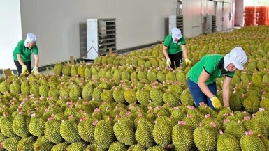 Hải quan chỉ đạo ưu tiên thông quan nông sản, đặc biệt là sầu riêng