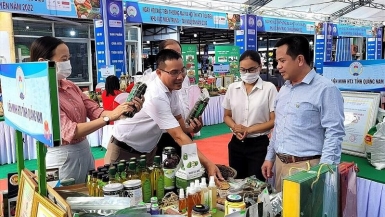 Sắp diễn ra Hội nghị Kết nối Kinh doanh và Đầu tư Việt Nam - Quốc tế 2025