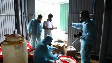 Gắn trách nhiệm người đứng đầu với công tác phòng, chống, kiểm soát ma túy