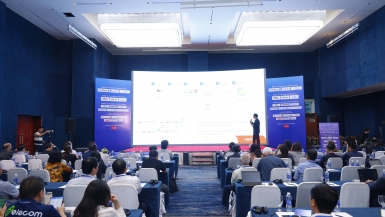 Việt Nam hướng tới hạ tầng số vững mạnh – nền tảng chuyển đổi số toàn diện