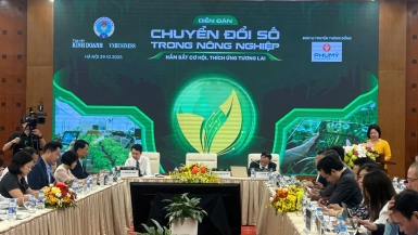 Chuyển đổi số trong hợp tác xã nông nghiệp: Hiệu quả đã rõ nhưng tỷ lệ vẫn thấp