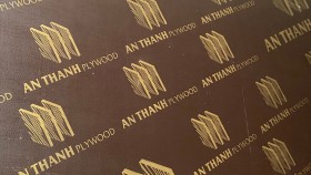 An Thành – Thương hiệu ván ép phát triển bằng chất lượng