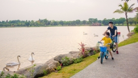 Khu đô thị cách hồ Hoàn Kiếm 14 Km có thiên nga, vịt trời đi lại tự do trên đường