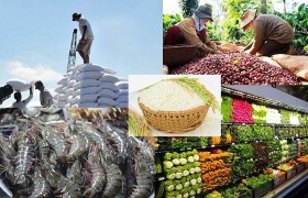 Sản lượng nông lâm thủy sản lấy lại đà tăng trưởng