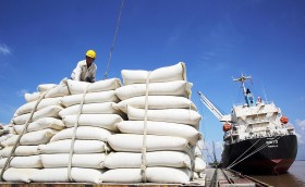 Giá gạo xuất khẩu thiết lập đỉnh mới