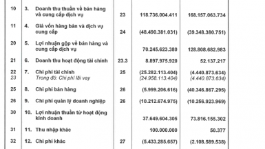 CTCP Địa ốc First Real phát hành cổ phiếu trả cổ tức và lấn sân sang lĩnh vực mới