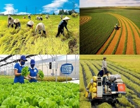 Sản xuất nông, lâm nghiệp, thủy sản tiếp tục đà tăng trưởng