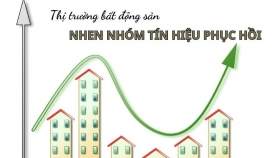 Phân khúc nào được quan tâm nhất trong bối cảnh toàn thị trường trầm lắng?