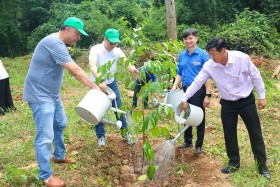 “Triệu cây xanh - Vì một Việt Nam xanh” năm 2023: Vững bước chinh phục hành trình trồng mới 60.000 cây xanh rừng đầu nguồn