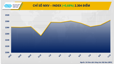 Chỉ số MXV-Index cao nhất 5 tuần, sắc xanh phủ kín bảng giá hàng hoá