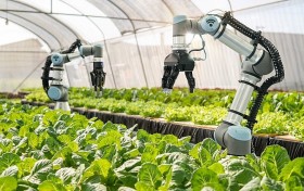 Áp dụng công nghệ giúp nâng cao chất lượng ngành nông nghiệp