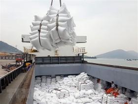 Xuất khẩu gạo Việt Nam thiết lập kỷ lục mới