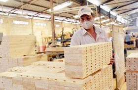 Một số thay đổi chính sách tại các thị trường nhập khẩu gỗ chính của Việt Nam mà doanh nghiệp cần biết