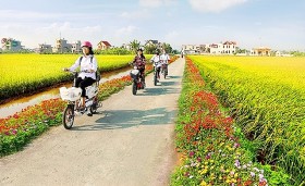 Nam Định không ngừng nâng cao chất lượng nông thôn mới