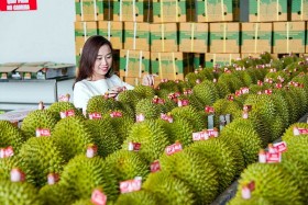 Trung Quốc sẽ tích cực thúc đẩy tiến trình mở cửa thị trường đối với nông sản của Việt Nam