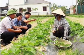 Hà Tĩnh: HTX góp phần quan trọng trong phát triển kinh tế, xây dựng nông thôn mới