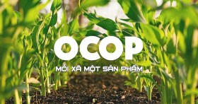 Xây dựng nông thôn mới: Phát triển sản phẩm OCOP từ thế mạnh chủ lực