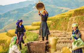 Hà Giang: Nông dân đổi đời nhờ sự đồng hành của hợp tác xã