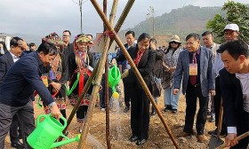 VNREA tham dự Lễ phát động 'Tết trồng cây đời đời nhớ ơn Bác Hồ' tại Bắc Giang
