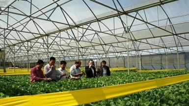 Lâm Đồng: Xác định lấy khoa học công nghệ làm khâu đột phá trong sản xuất, tiêu thụ nông sản