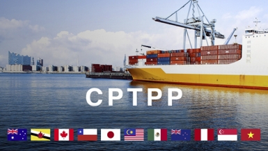 Thực thi CPTPP: Doanh nghiệp cần chuẩn bị những gì để chứng nhận xuất xứ hàng hóa?