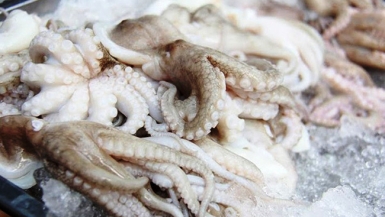 Đẩy mạnh xuất khẩu mực, bạch tuộc ở nhiều thị trường