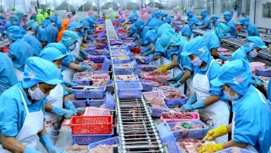 Doanh nghiệp thủy sản gặp khó khăn vì nhiều loại chi phí tăng cao