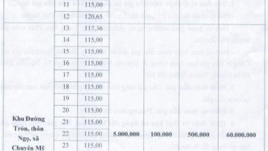 Hà Nội sắp đấu giá 52 thửa đất, giá khởi điểm cao nhất 13 triệu đồng/m2