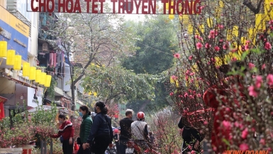 78 điểm chợ hoa Xuân phục vụ Tết Nhâm Dần 2022 tại Hà Nội