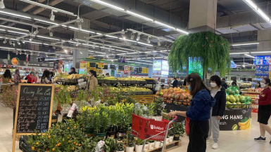 Nông dân thở phào vì siêu thị đến tận vườn giúp tiêu thụ nông sản