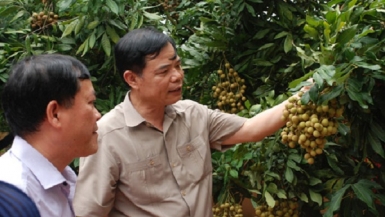 Nông nghiệp Việt nam quyết tâm đổi mới mô hình tăng trưởng và xây dựng nông thôn mới