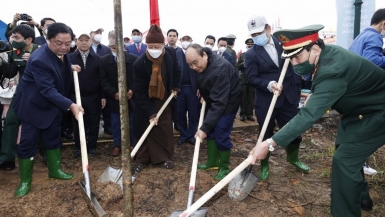 Chủ tịch nước phát động Tết trồng cây