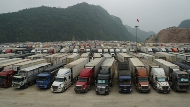 Lạng Sơn: Tạm dừng tiếp nhận phương tiện chở hoa quả tươi xuất khẩu