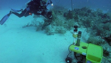 Phối hợp quản lý nghiên cứu khoa học trong vùng biển Việt Nam