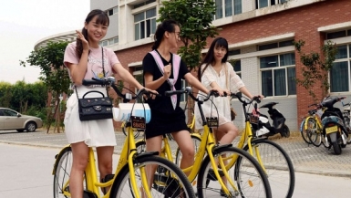 Singapore thắt chặt quản lý dịch vụ chia sẻ xe đạp
