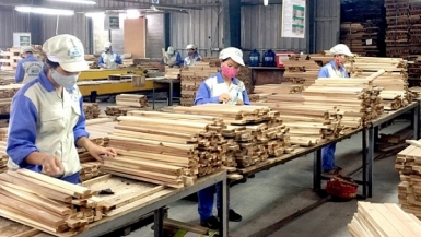 Nỗ lực trong việc đưa kim ngạch xuất khẩu gỗ và lâm sản ngoài gỗ đạt 11 tỷ USD trong năm 2019