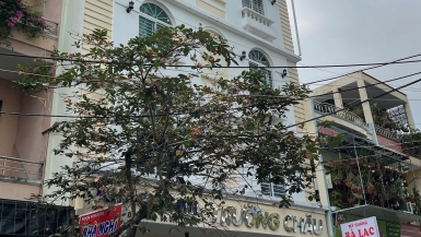 Hai người đàn ông tử vong sau 1 ngày vào khách sạn thuê phòng ở Đà Nẵng